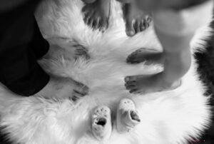 Photo femme enceinte en studio Ariège (09)