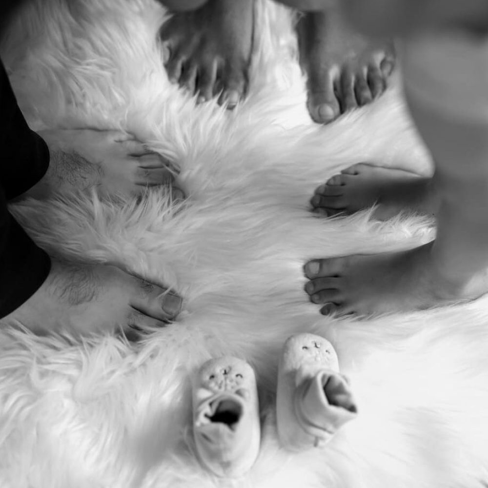 Photo femme enceinte en studio Ariège (09)