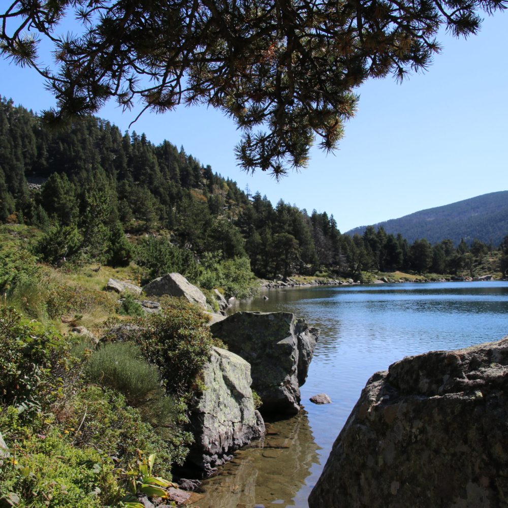 Paysage Ariégeoise (09)