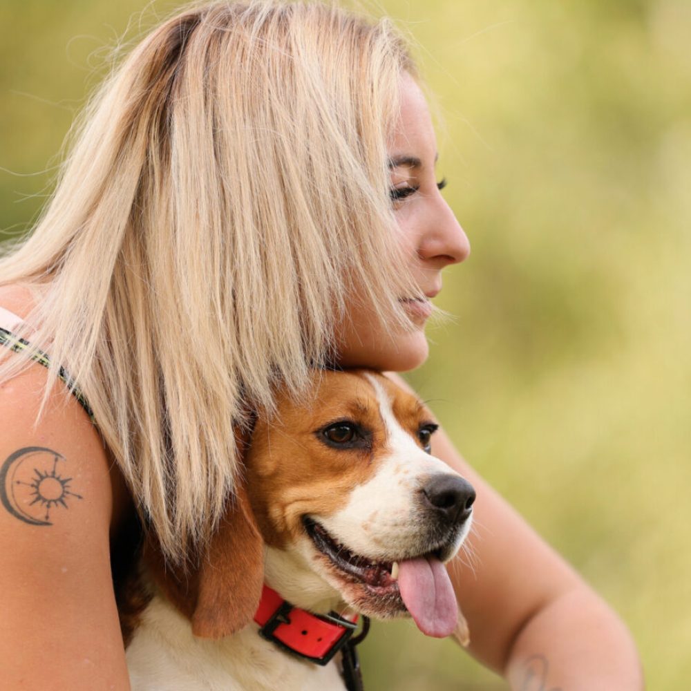 Photo canine (chien) Ariège (09)